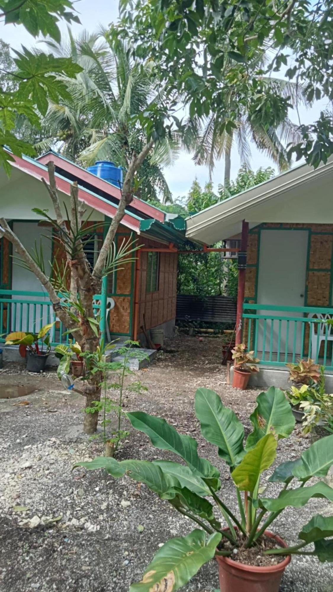 Bohol Triple M Tourist Inn Tagbilaran City Exteriör bild